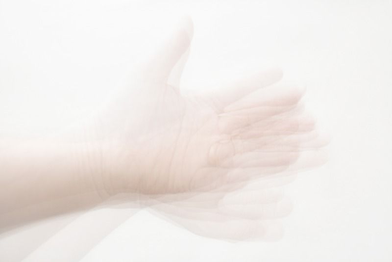 My Hand as an Idealization of the Hand, 2012