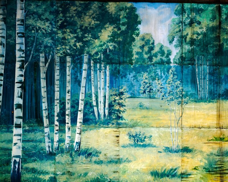 Birch Forest, 2005