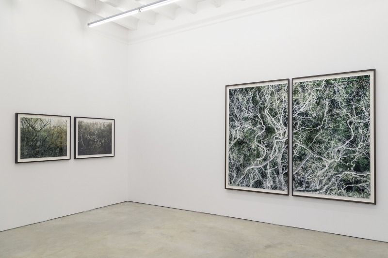 Santeri Tuori | Time Is No Longer Round, Installation view at Persons Projects, 2020