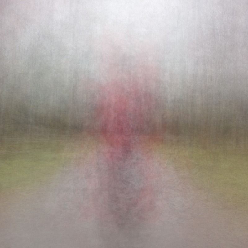 Path (hue) scarlet, 2016 