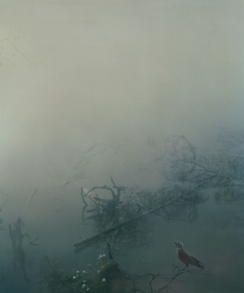 Untitled (Belomor Canal), 2010
