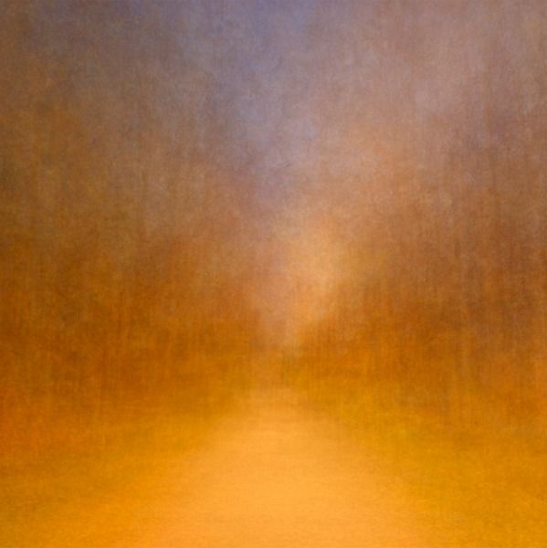 Path (glow) 1, 2014