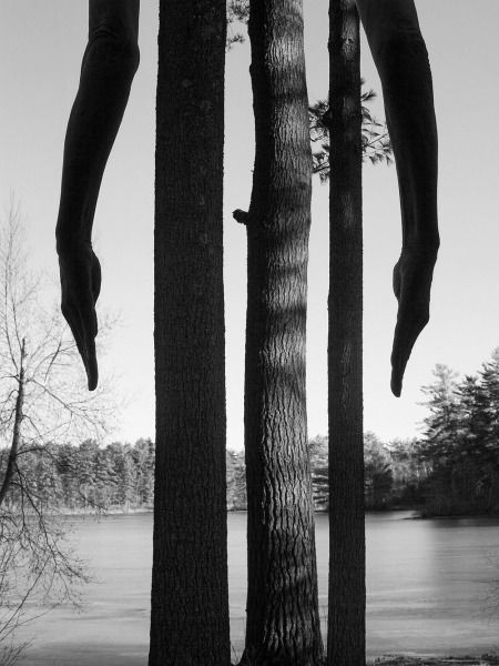 Three-Legged Crow, Fosters Pond, 2016