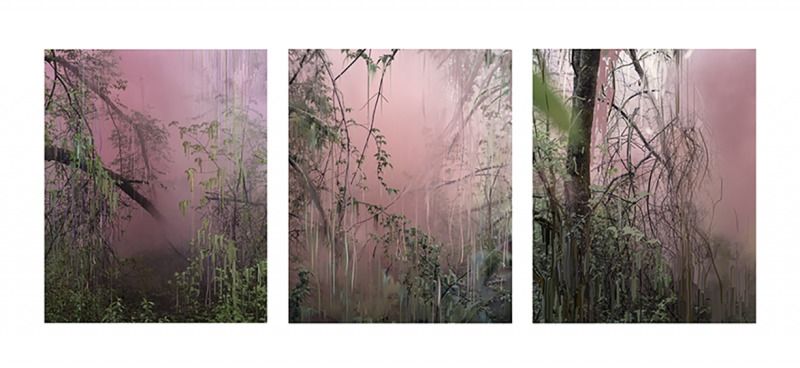 Untitled (Forest 17, 18, 14), 2019 