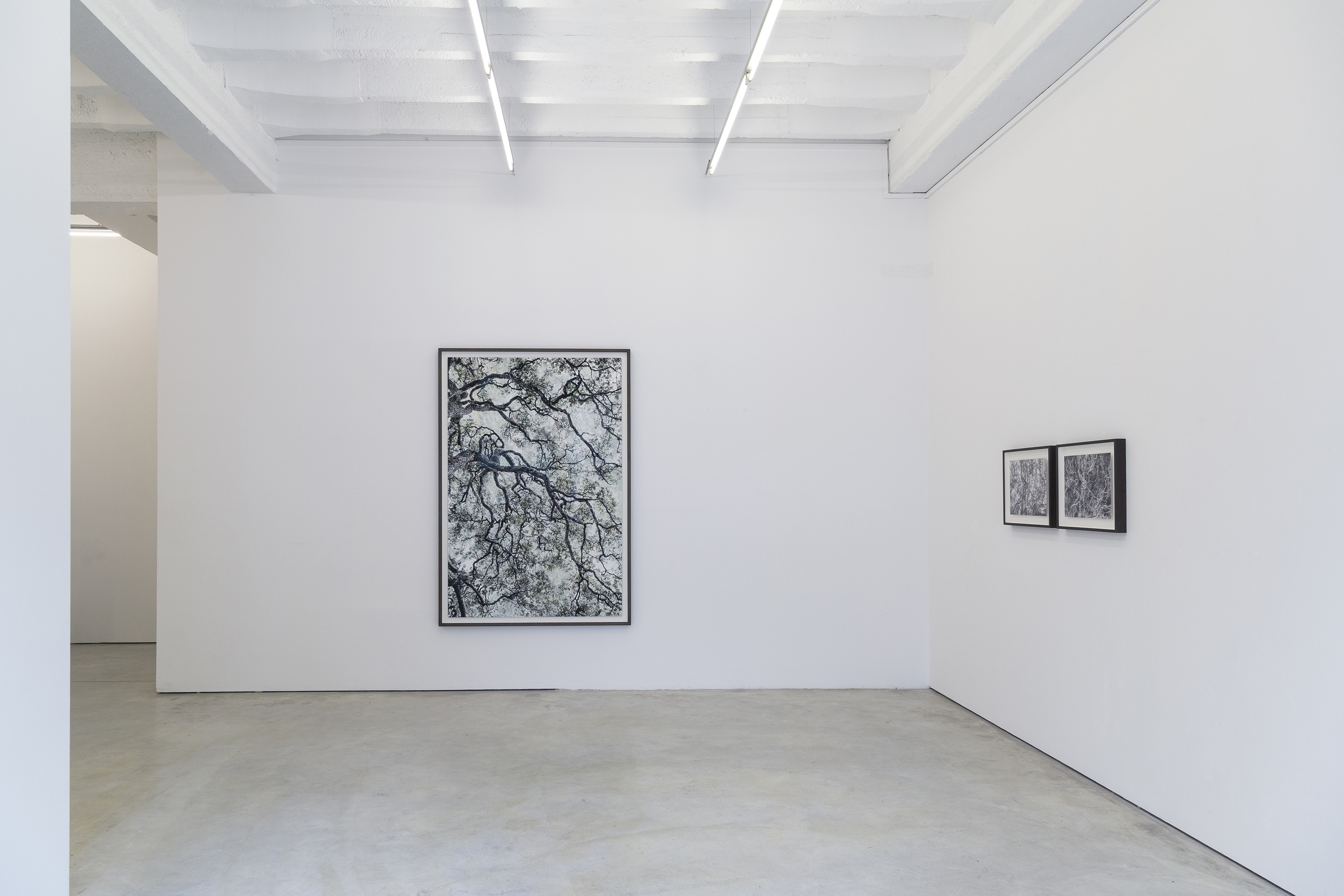 Santeri Tuori | Time Is No Longer Round, Installation view at Persons Projects, 2020