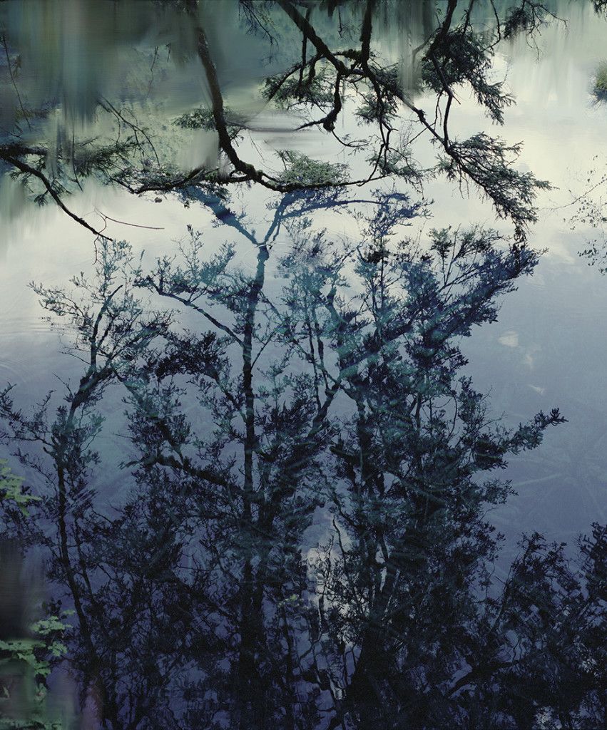 Untitled (Lake 5), 2010 