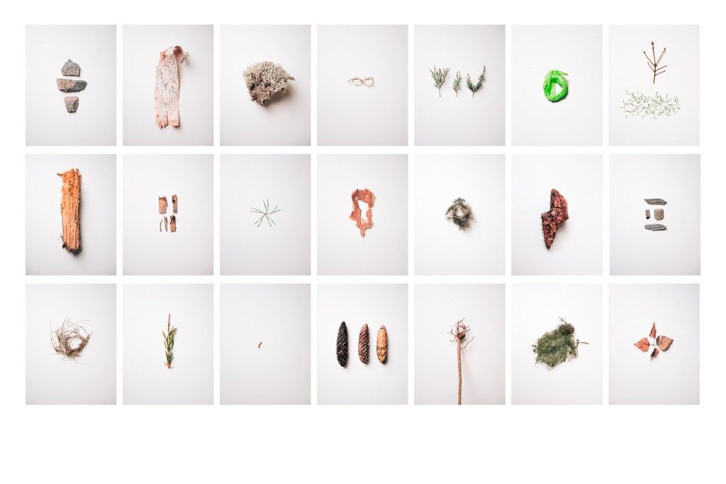 PICKED FRAGMENTS #1-21, 2016